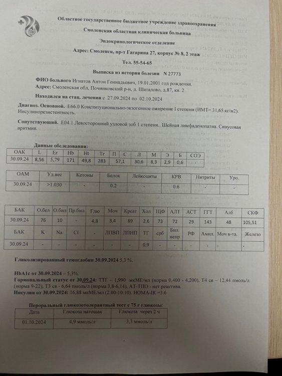 Изображение WhatsApp 2024-10-03 в 23.08.22_ddabafa9.jpg